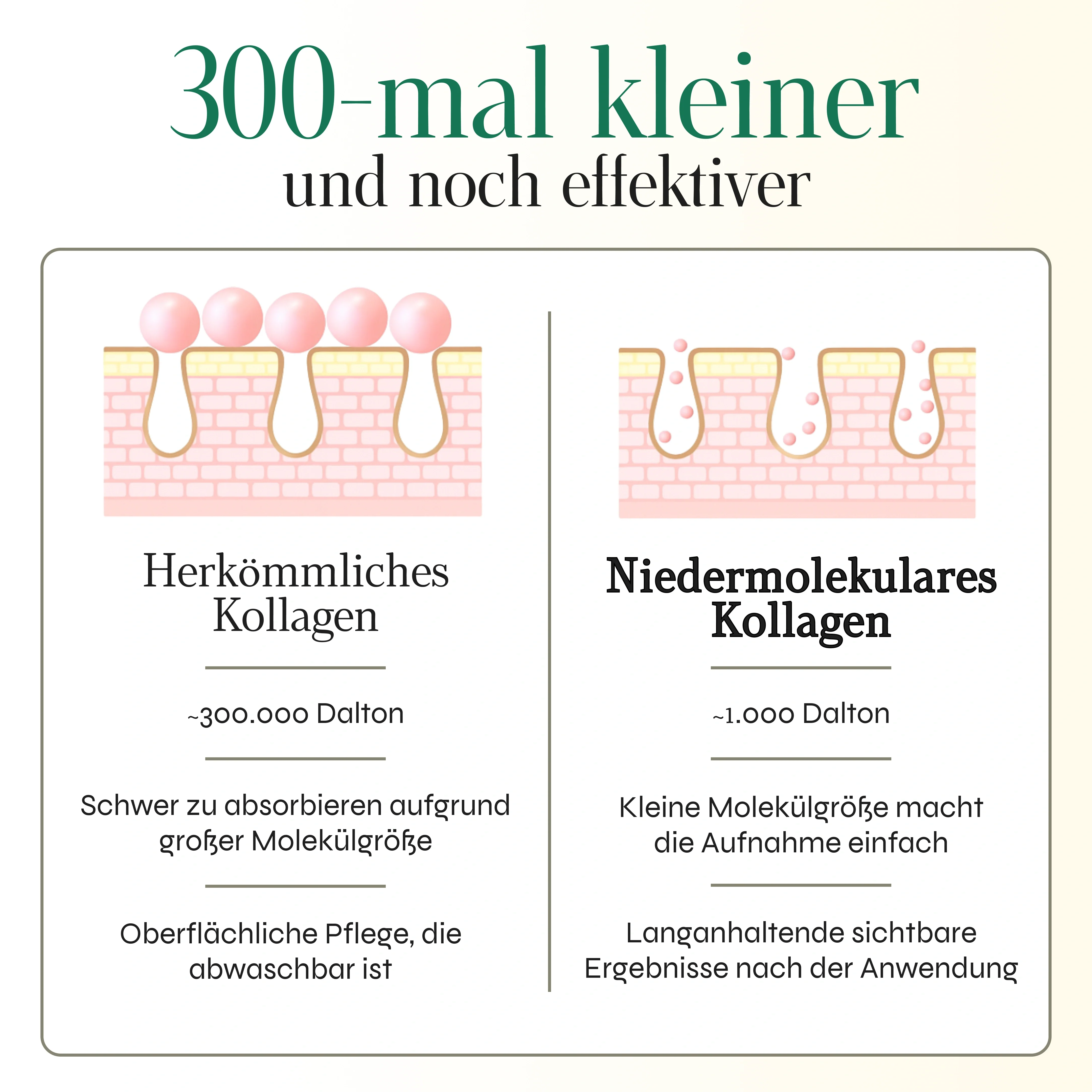 Vorschaubild 9