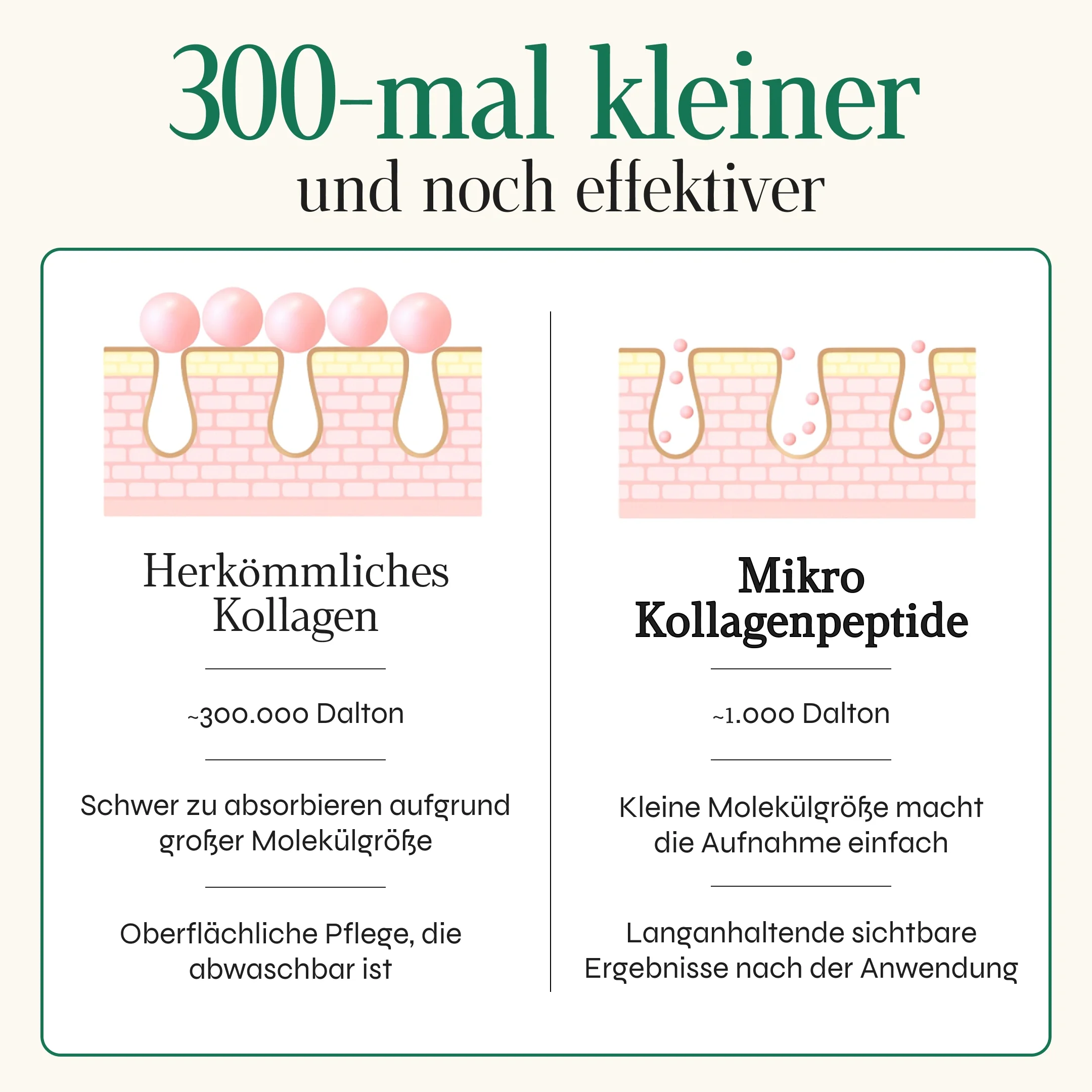 Vorschaubild 7